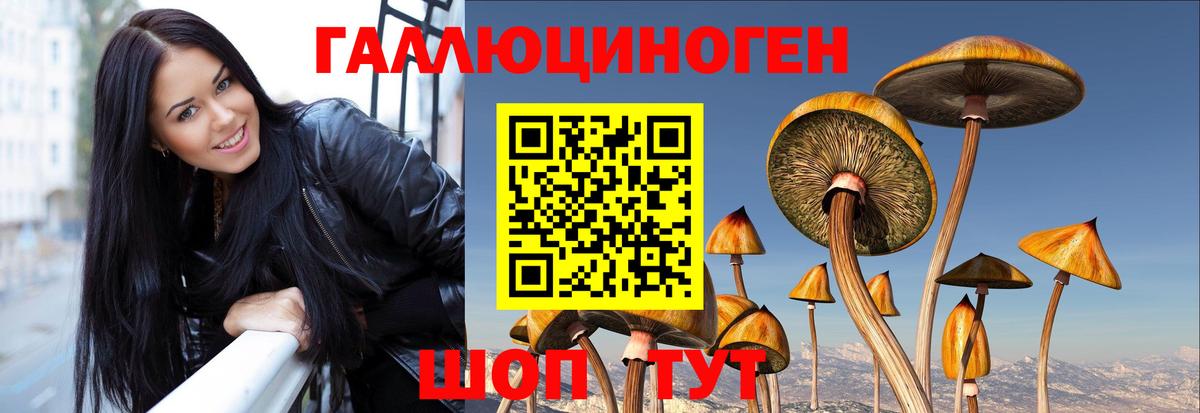 Галлюциногенные грибы Psilocybine cubensis  Вход с VPN  Луховицы 
